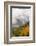 Colorado, Sneffels Range. Snow Clouds over Mt Sneffels at Sunset-Don Grall-Framed Photographic Print