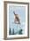 Colorado, Snowboarder Jumping-Lantern Press-Framed Art Print