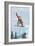 Colorado, Snowboarder Jumping-Lantern Press-Framed Art Print