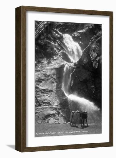 Colorado Springs, Colorado - South Cheyenne Canyon; Burro at Seven Falls-Lantern Press-Framed Art Print