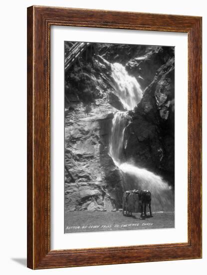 Colorado Springs, Colorado - South Cheyenne Canyon; Burro at Seven Falls-Lantern Press-Framed Art Print