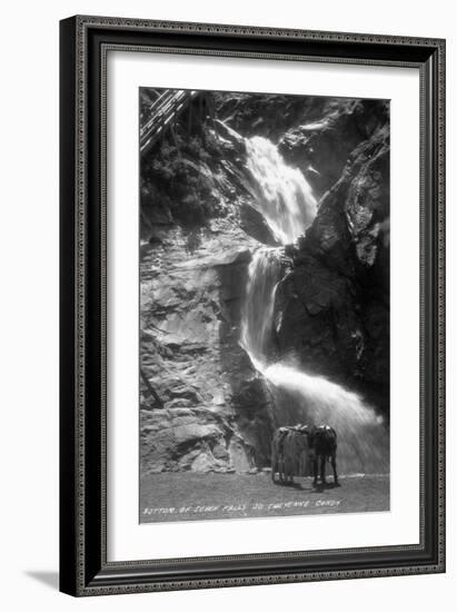 Colorado Springs, Colorado - South Cheyenne Canyon; Burro at Seven Falls-Lantern Press-Framed Art Print