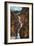 Colorado Springs, Colorado - South Cheyenne Canyon, Seven Falls View-Lantern Press-Framed Art Print