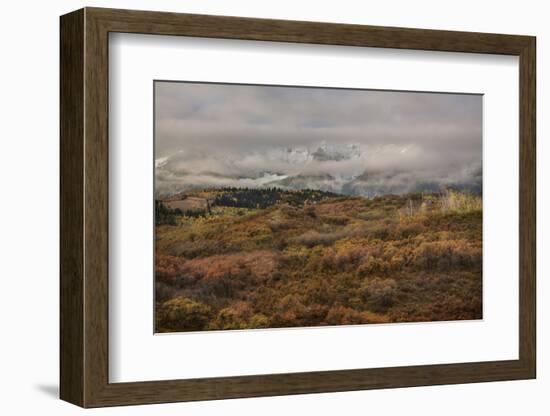 Colorado, Uncompahgre National Forest. Autumn Snowstorm Above Sneffels Range-Jaynes Gallery-Framed Photographic Print