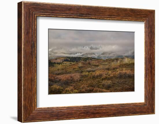 Colorado, Uncompahgre National Forest. Autumn Snowstorm Above Sneffels Range-Jaynes Gallery-Framed Photographic Print