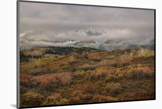 Colorado, Uncompahgre National Forest. Autumn Snowstorm Above Sneffels Range-Jaynes Gallery-Mounted Photographic Print