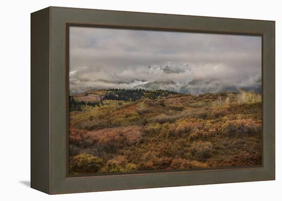 Colorado, Uncompahgre National Forest. Autumn Snowstorm Above Sneffels Range-Jaynes Gallery-Framed Premier Image Canvas