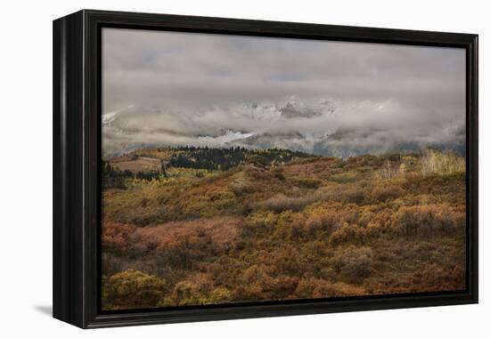 Colorado, Uncompahgre National Forest. Autumn Snowstorm Above Sneffels Range-Jaynes Gallery-Framed Premier Image Canvas