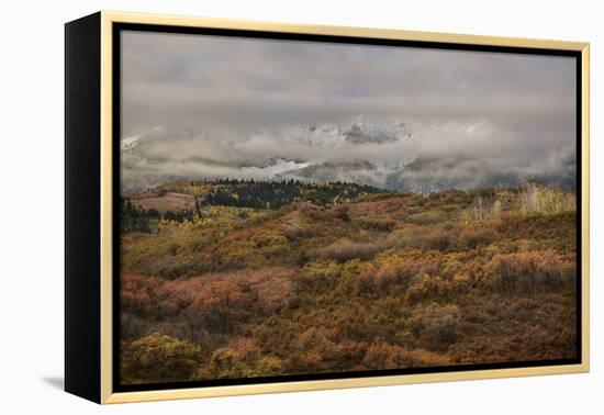 Colorado, Uncompahgre National Forest. Autumn Snowstorm Above Sneffels Range-Jaynes Gallery-Framed Premier Image Canvas