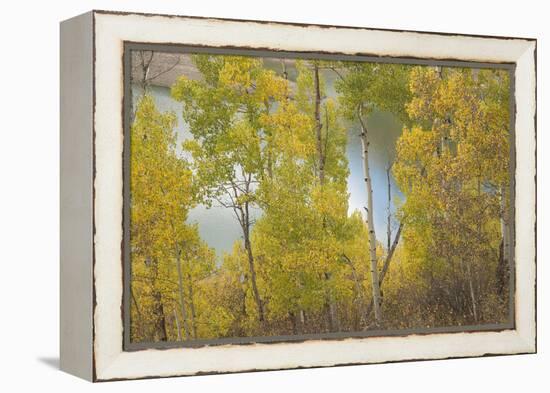 Colorado, Uncompahgre National Forest. Silver Jack Reservoir and Fall Aspens-Jaynes Gallery-Framed Premier Image Canvas