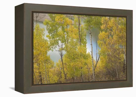 Colorado, Uncompahgre National Forest. Silver Jack Reservoir and Fall Aspens-Jaynes Gallery-Framed Premier Image Canvas