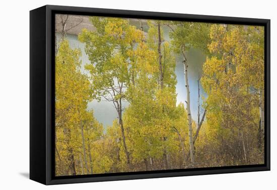 Colorado, Uncompahgre National Forest. Silver Jack Reservoir and Fall Aspens-Jaynes Gallery-Framed Premier Image Canvas