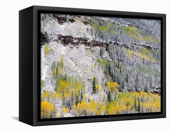 Colorado, Uncompahgre National Forest-John Barger-Framed Premier Image Canvas