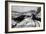 Colorado - View along Highway between Basalt and Aspen-Lantern Press-Framed Art Print