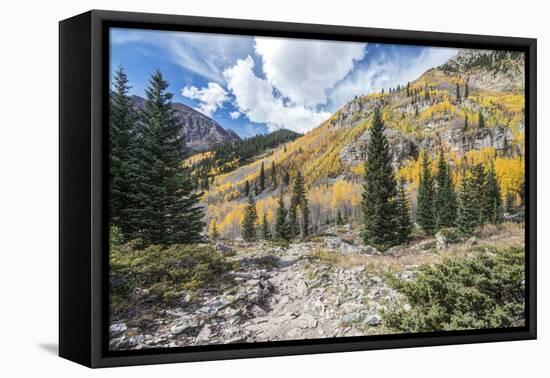Colorado, White River National Forest, Autumn Color on Maroon Creek Trail-Rob Tilley-Framed Premier Image Canvas