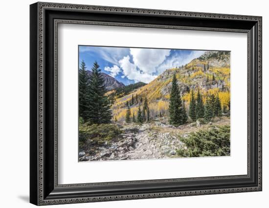 Colorado, White River National Forest, Autumn Color on Maroon Creek Trail-Rob Tilley-Framed Photographic Print