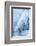 Colorado, Woodland Park. Ice and Frost Formation on Small Waterfall-Don Grall-Framed Photographic Print