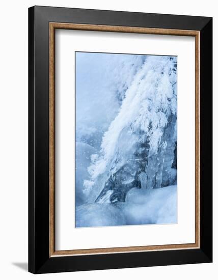 Colorado, Woodland Park. Ice and Frost Formation on Small Waterfall-Don Grall-Framed Photographic Print