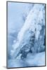 Colorado, Woodland Park. Ice and Frost Formation on Small Waterfall-Don Grall-Mounted Photographic Print