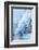 Colorado, Woodland Park. Ice and Frost Formation on Small Waterfall-Don Grall-Framed Photographic Print