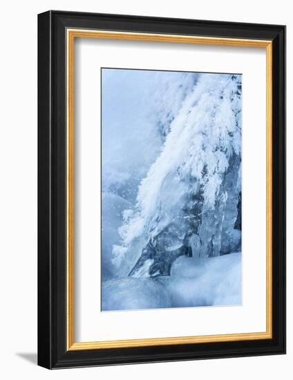 Colorado, Woodland Park. Ice and Frost Formation on Small Waterfall-Don Grall-Framed Photographic Print