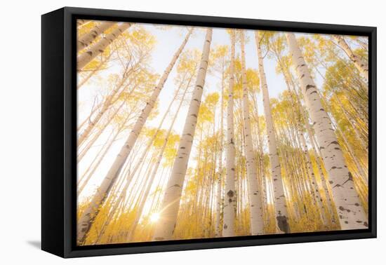 Colorado-Dan Ballard-Framed Premier Image Canvas