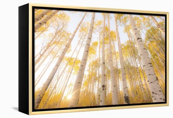 Colorado-Dan Ballard-Framed Premier Image Canvas