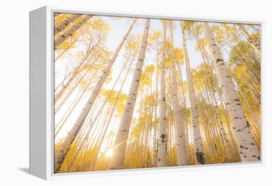 Colorado-Dan Ballard-Framed Premier Image Canvas