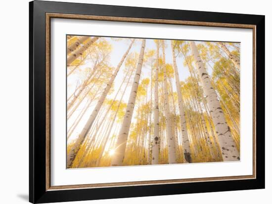 Colorado-Dan Ballard-Framed Photographic Print