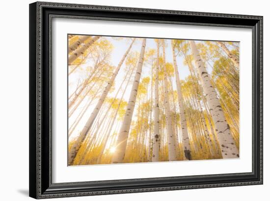 Colorado-Dan Ballard-Framed Photographic Print