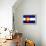 Colorado-S_E-Framed Stretched Canvas displayed on a wall