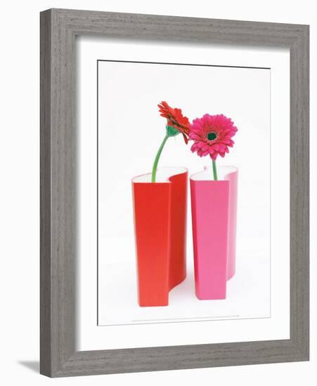 Colorama-Amelie Vuillon-Framed Art Print