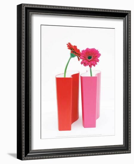 Colorama-Amelie Vuillon-Framed Art Print