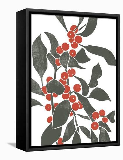 Colorblock Berry Branch IV-Emma Scarvey-Framed Stretched Canvas