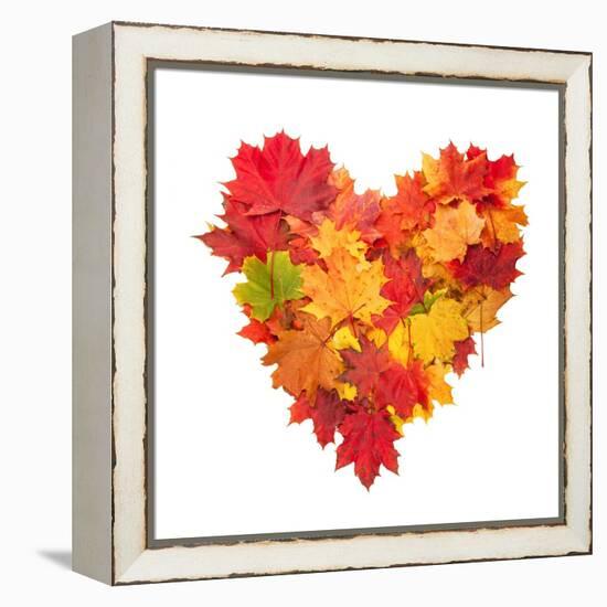 Colored Autumn Leaves In Heart Shape Isolated On White Background-Jag_cz-Framed Stretched Canvas