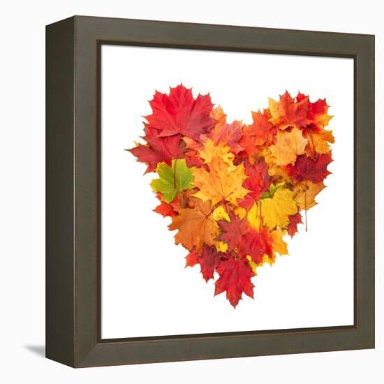 Colored Autumn Leaves In Heart Shape Isolated On White Background-Jag_cz-Framed Stretched Canvas