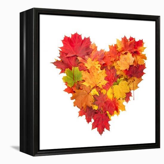 Colored Autumn Leaves In Heart Shape Isolated On White Background-Jag_cz-Framed Stretched Canvas