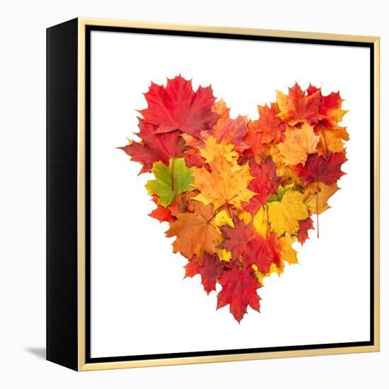 Colored Autumn Leaves In Heart Shape Isolated On White Background-Jag_cz-Framed Stretched Canvas