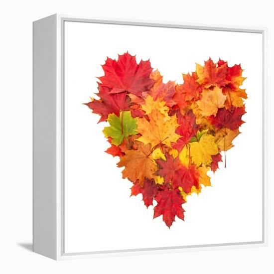 Colored Autumn Leaves In Heart Shape Isolated On White Background-Jag_cz-Framed Stretched Canvas