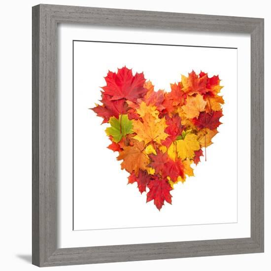 Colored Autumn Leaves In Heart Shape Isolated On White Background-Jag_cz-Framed Art Print