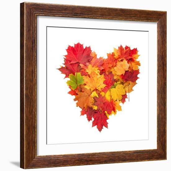 Colored Autumn Leaves In Heart Shape Isolated On White Background-Jag_cz-Framed Art Print