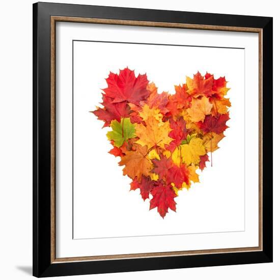 Colored Autumn Leaves In Heart Shape Isolated On White Background-Jag_cz-Framed Art Print