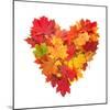 Colored Autumn Leaves In Heart Shape Isolated On White Background-Jag_cz-Mounted Art Print