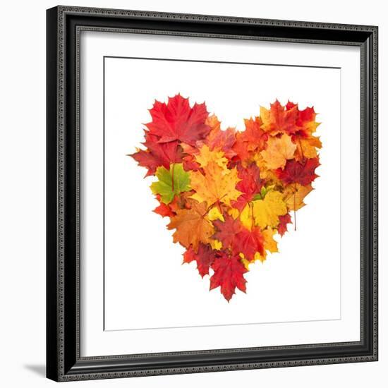 Colored Autumn Leaves In Heart Shape Isolated On White Background-Jag_cz-Framed Art Print