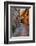 Colored Buildings and Stores Along a Back Street of Spello-Terry Eggers-Framed Photographic Print