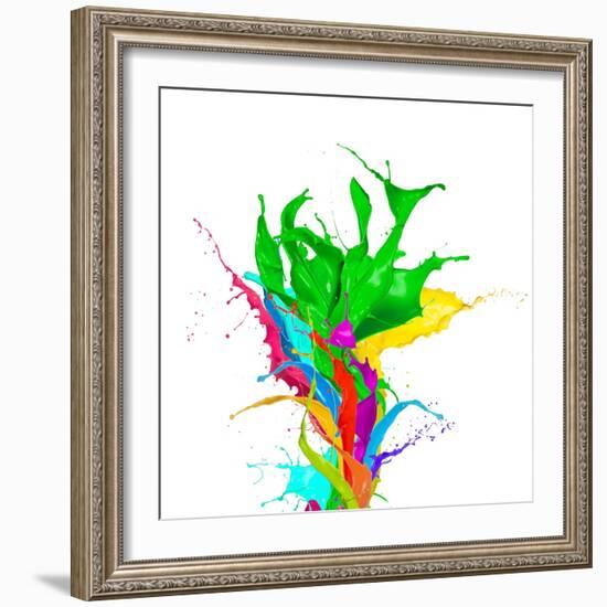 Colored Paint Splashes Bouquet Isolated On White Background-Jag_cz-Framed Art Print