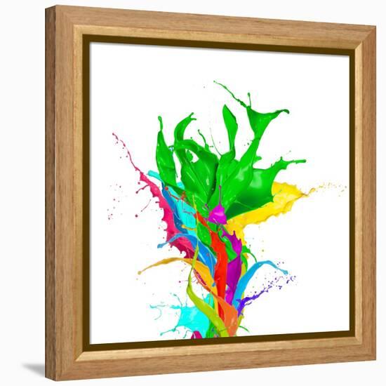 Colored Paint Splashes Bouquet Isolated On White Background-Jag_cz-Framed Stretched Canvas