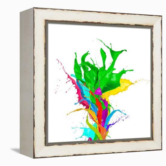 Colored Paint Splashes Bouquet Isolated On White Background-Jag_cz-Framed Stretched Canvas
