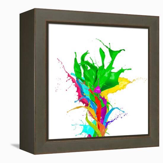 Colored Paint Splashes Bouquet Isolated On White Background-Jag_cz-Framed Stretched Canvas