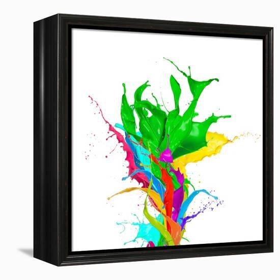 Colored Paint Splashes Bouquet Isolated On White Background-Jag_cz-Framed Stretched Canvas